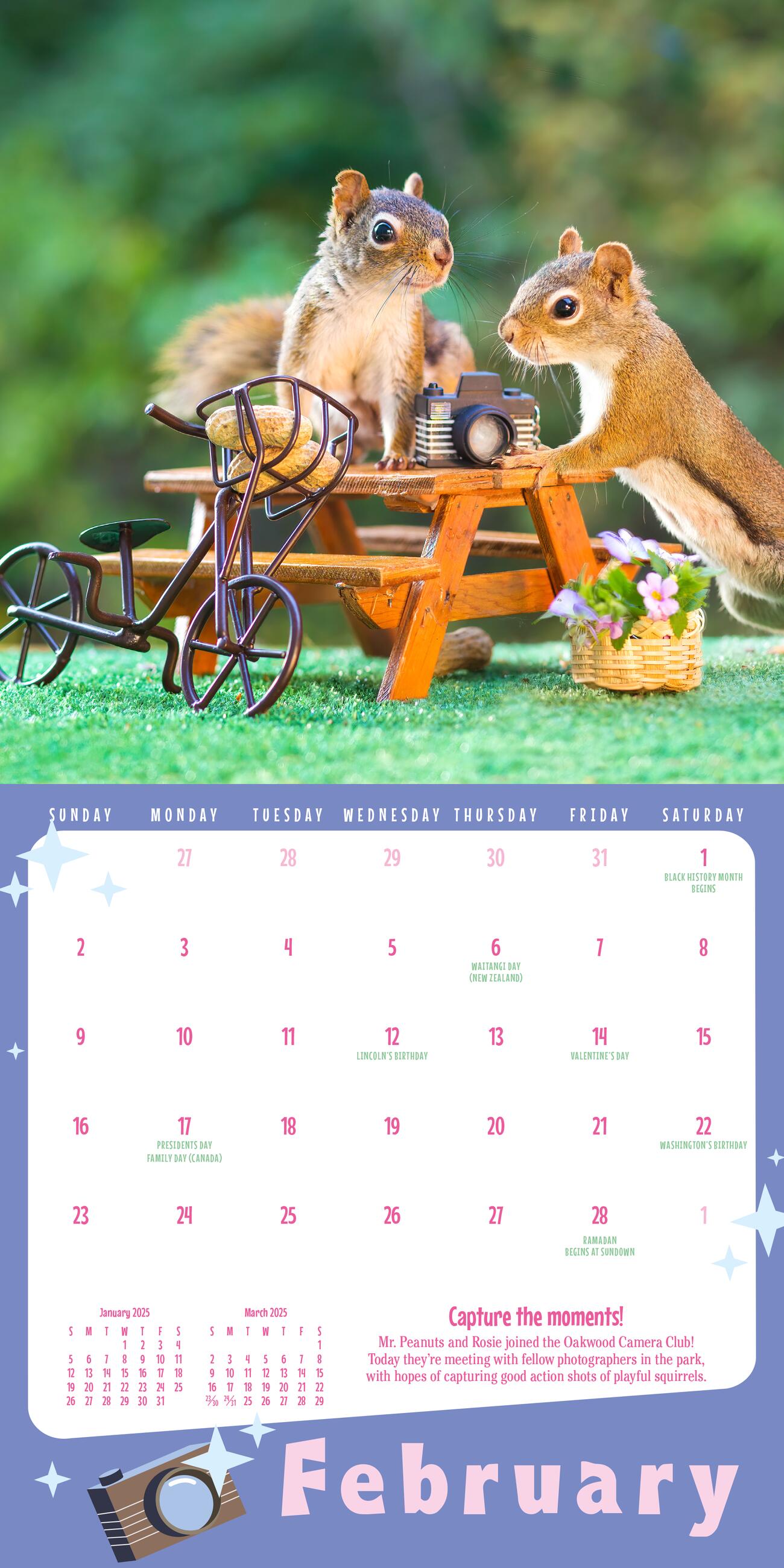 The Secret Life of Squirrels 2025 Mini Wall Calendar    