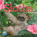 The Original Sloths 2025 Wall Calendar    