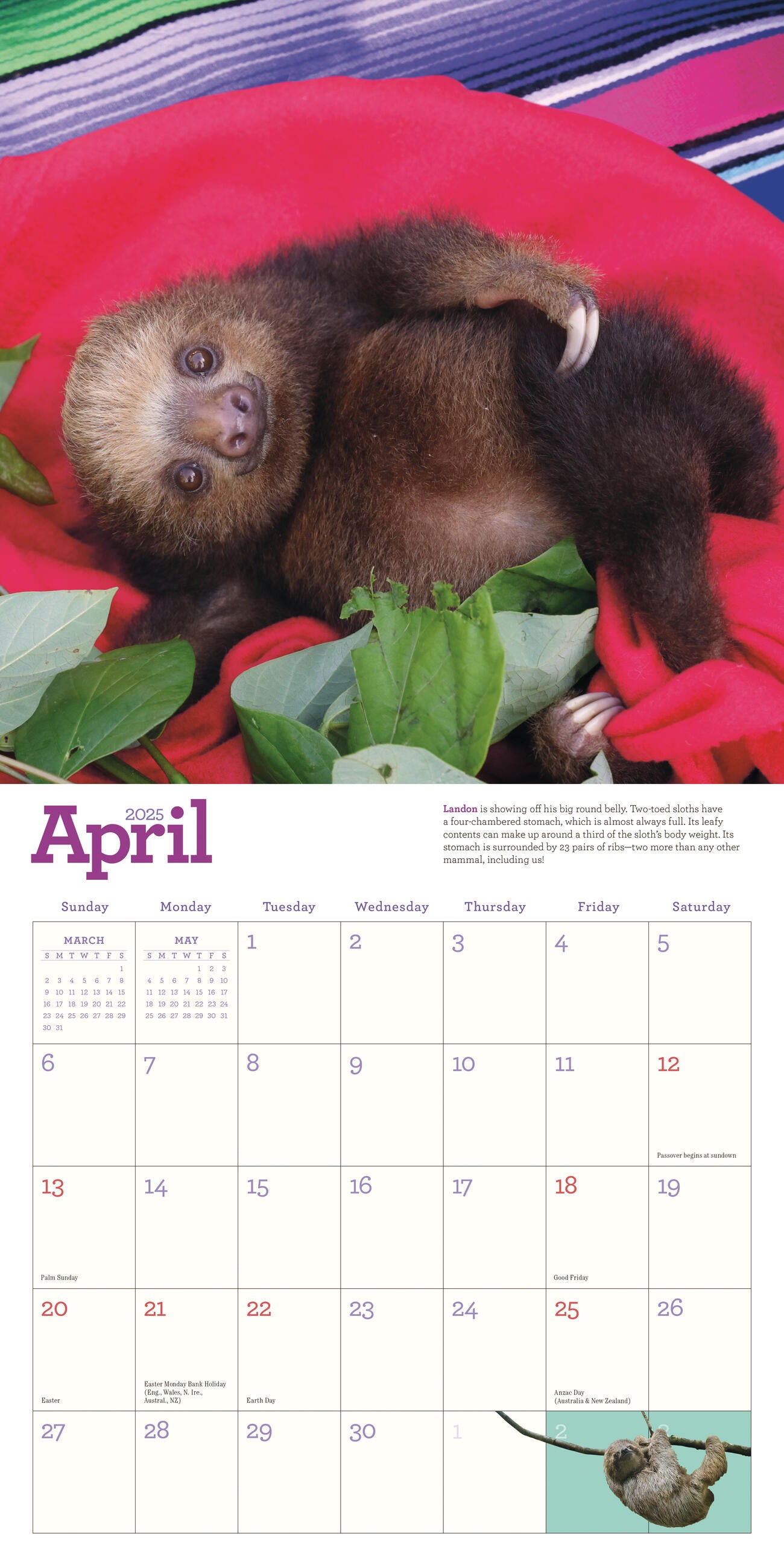 The Original Sloths 2025 Wall Calendar    