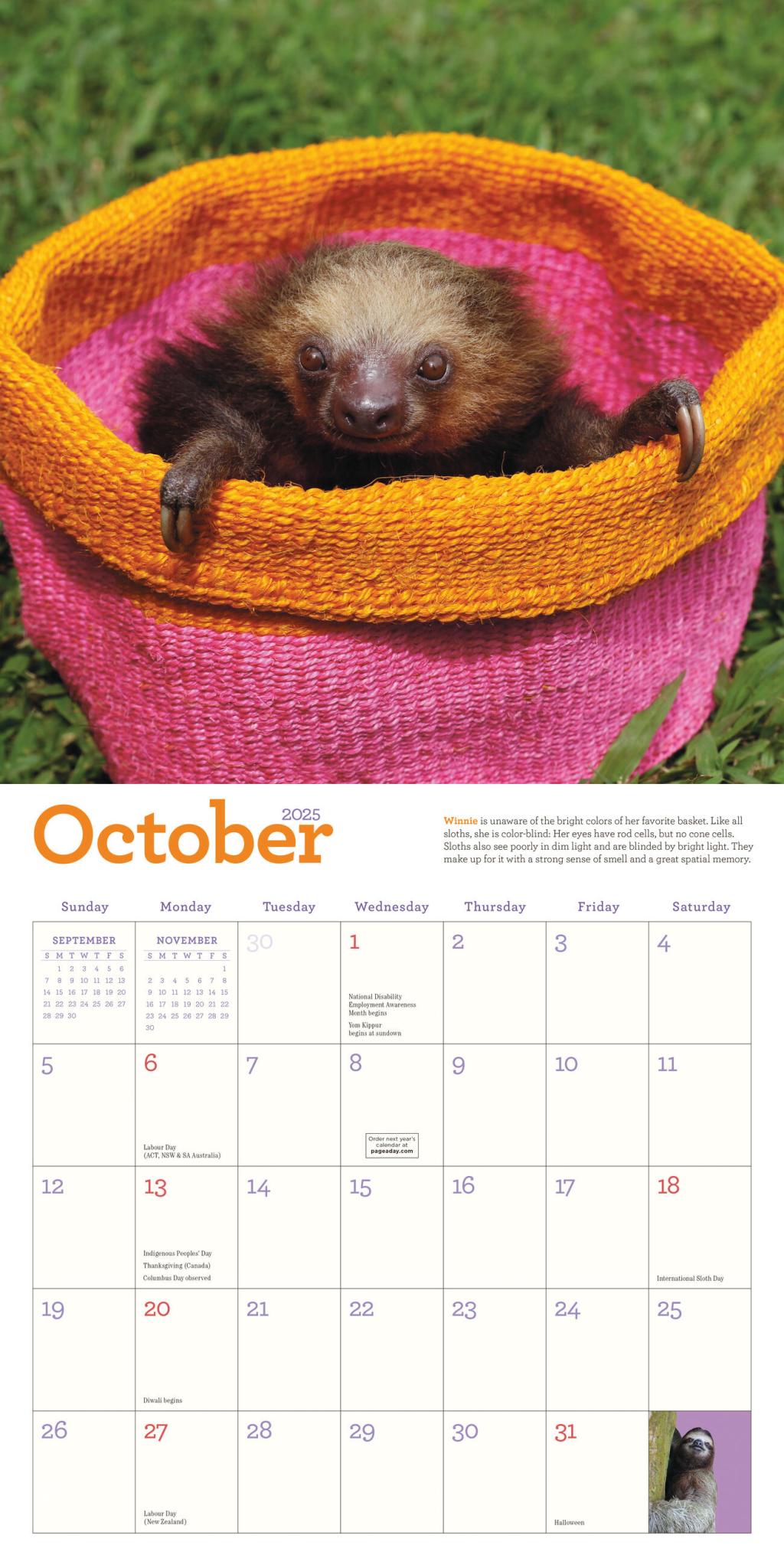 The Original Sloths 2025 Wall Calendar    