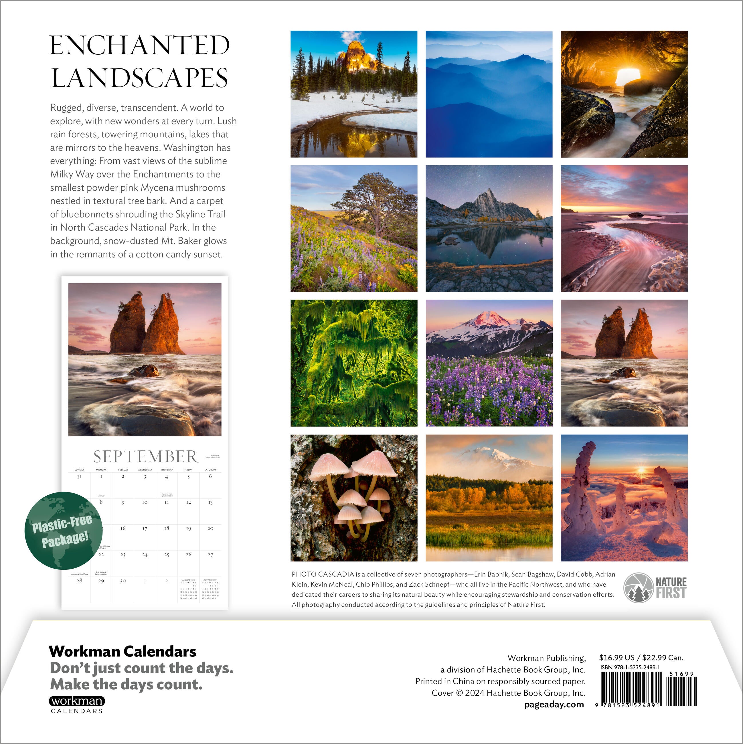 Washington Evergreen 2025 Wall Calendar    