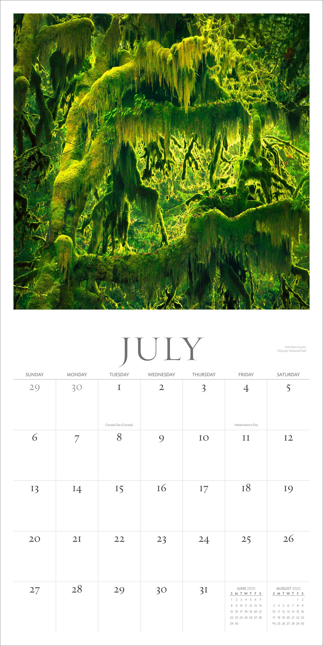 Washington Evergreen 2025 Wall Calendar    