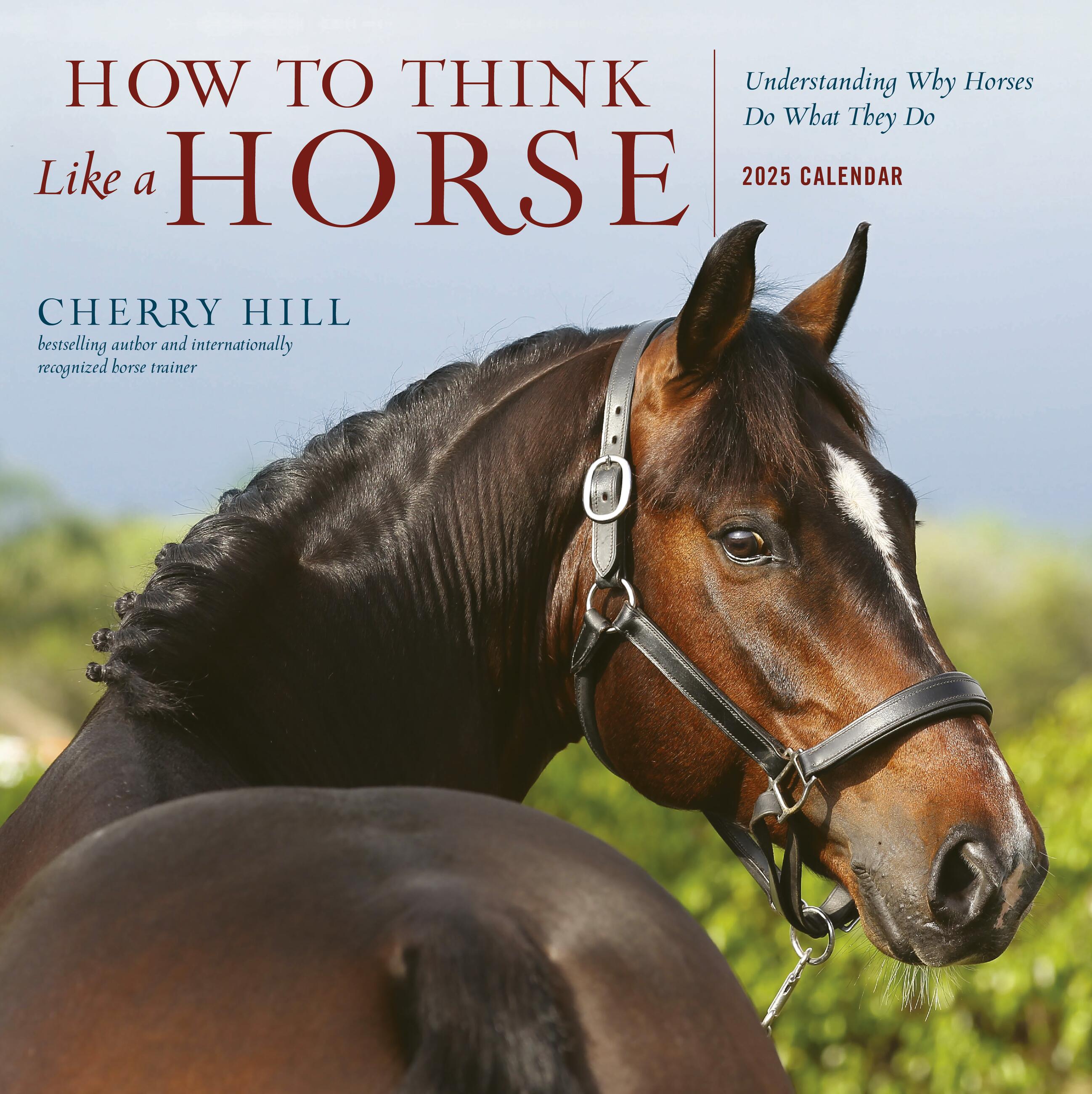 How To Think Like A Horse 2025 Wall Calendar    