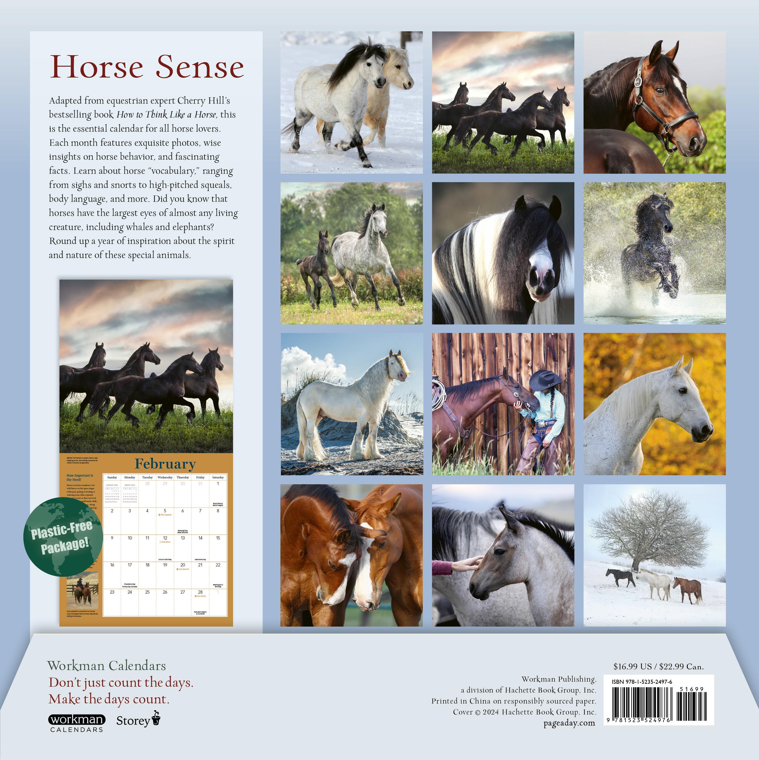 How To Think Like A Horse 2025 Wall Calendar    