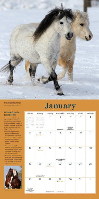 How To Think Like A Horse 2025 Wall Calendar    