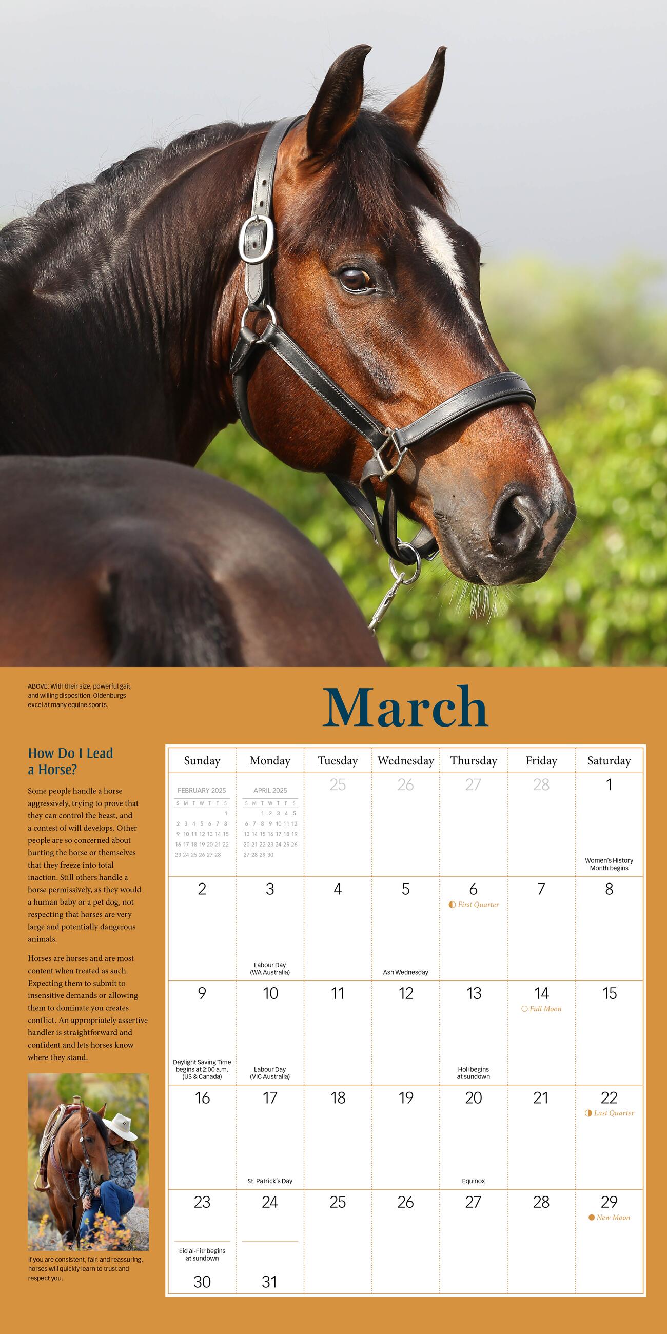 How To Think Like A Horse 2025 Wall Calendar    