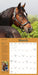 How To Think Like A Horse 2025 Wall Calendar    