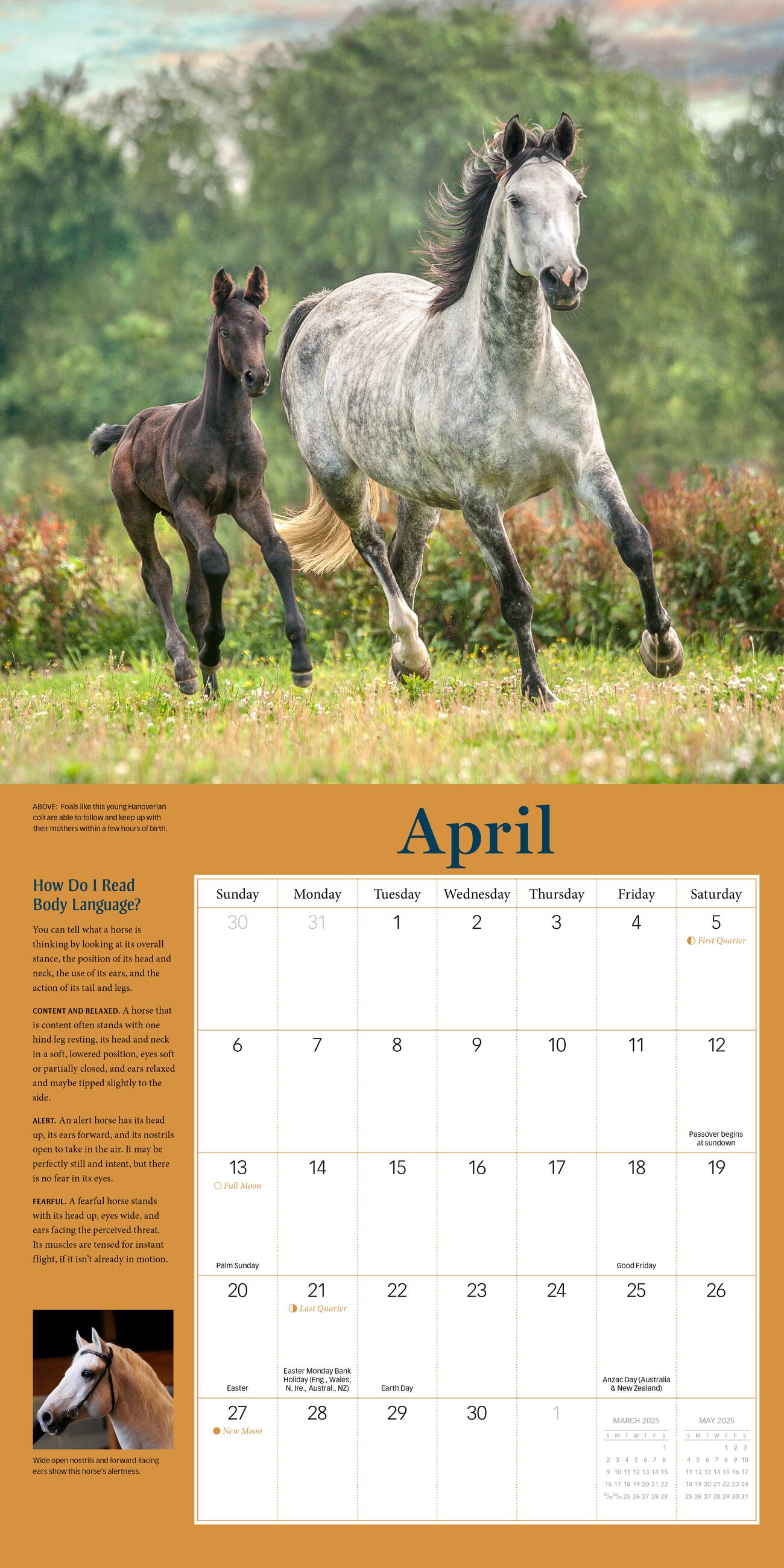 How To Think Like A Horse 2025 Wall Calendar    