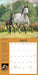 How To Think Like A Horse 2025 Wall Calendar    