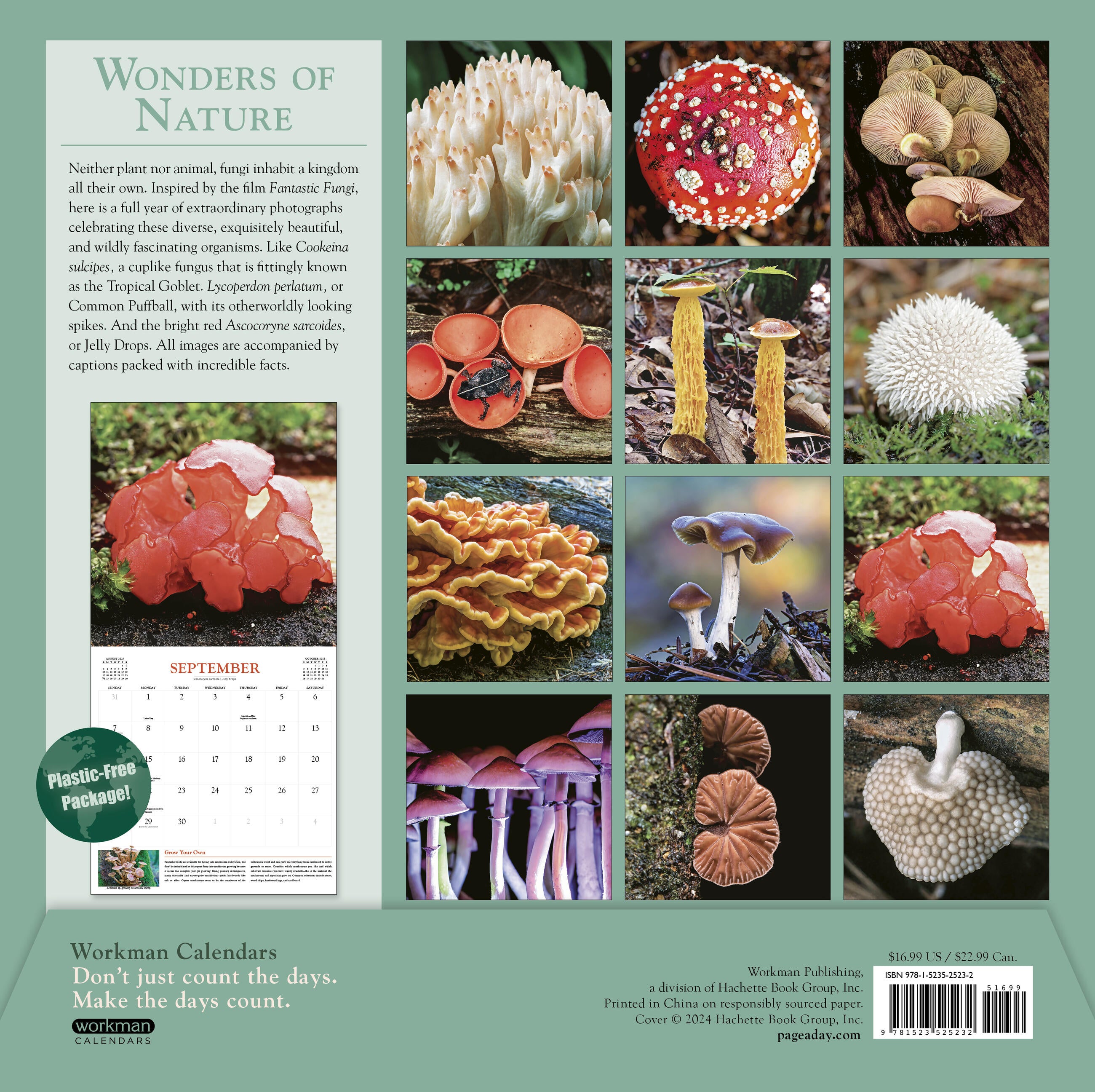 Fantastic Fungi 2025 Wall Calendar    