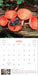 Fantastic Fungi 2025 Wall Calendar    