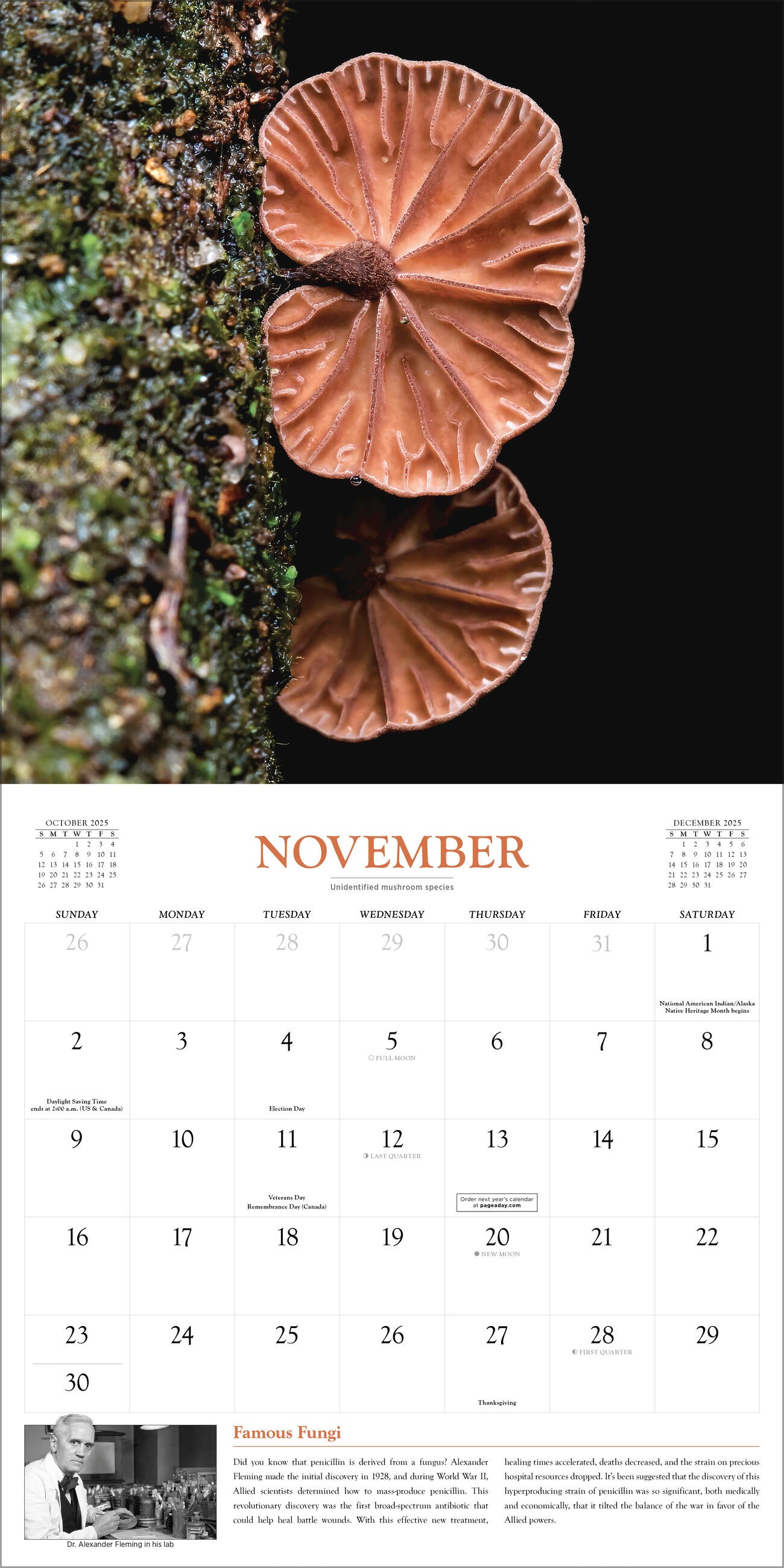 Fantastic Fungi 2025 Wall Calendar    