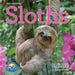 The Original Sloths 2025 Mini Wall Calendar    