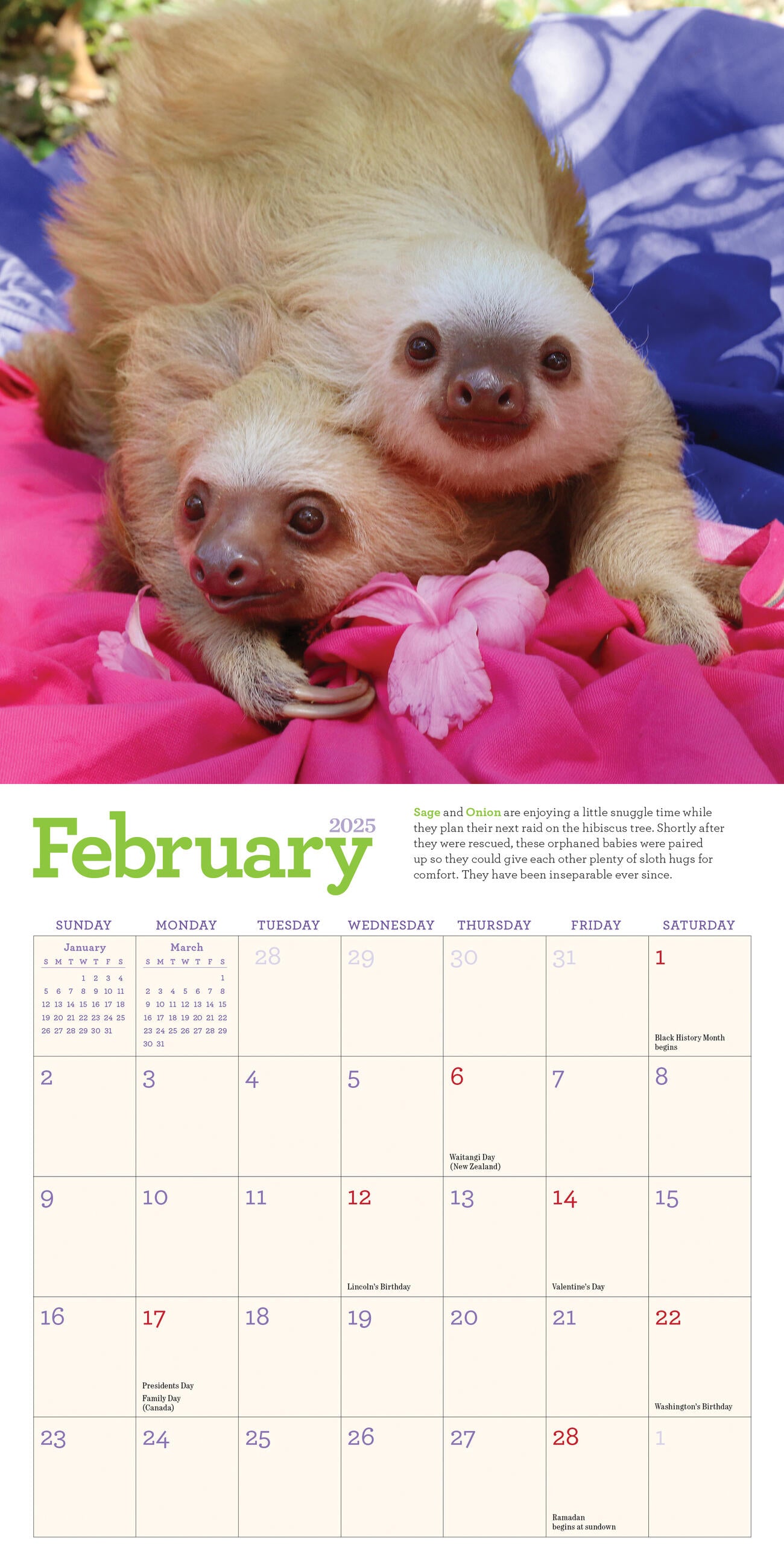 The Original Sloths 2025 Mini Wall Calendar    