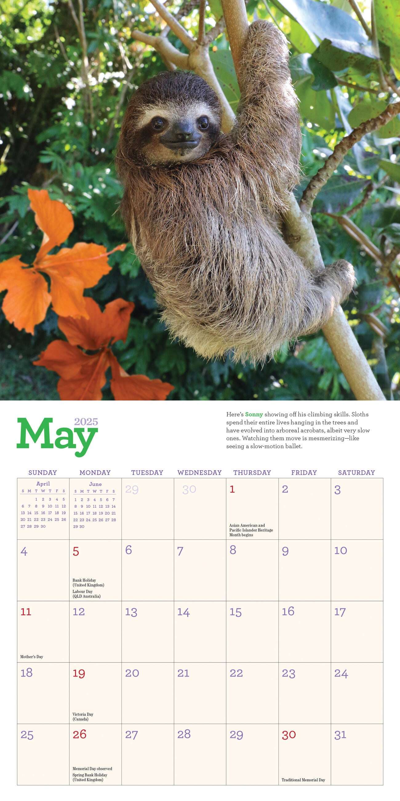 The Original Sloths 2025 Mini Wall Calendar    