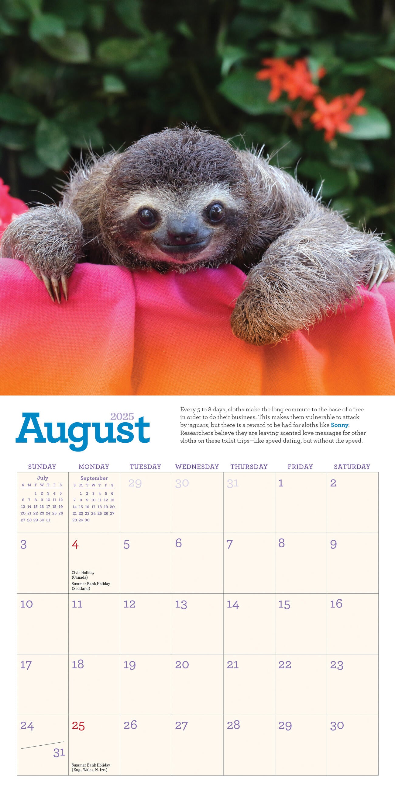 The Original Sloths 2025 Mini Wall Calendar    