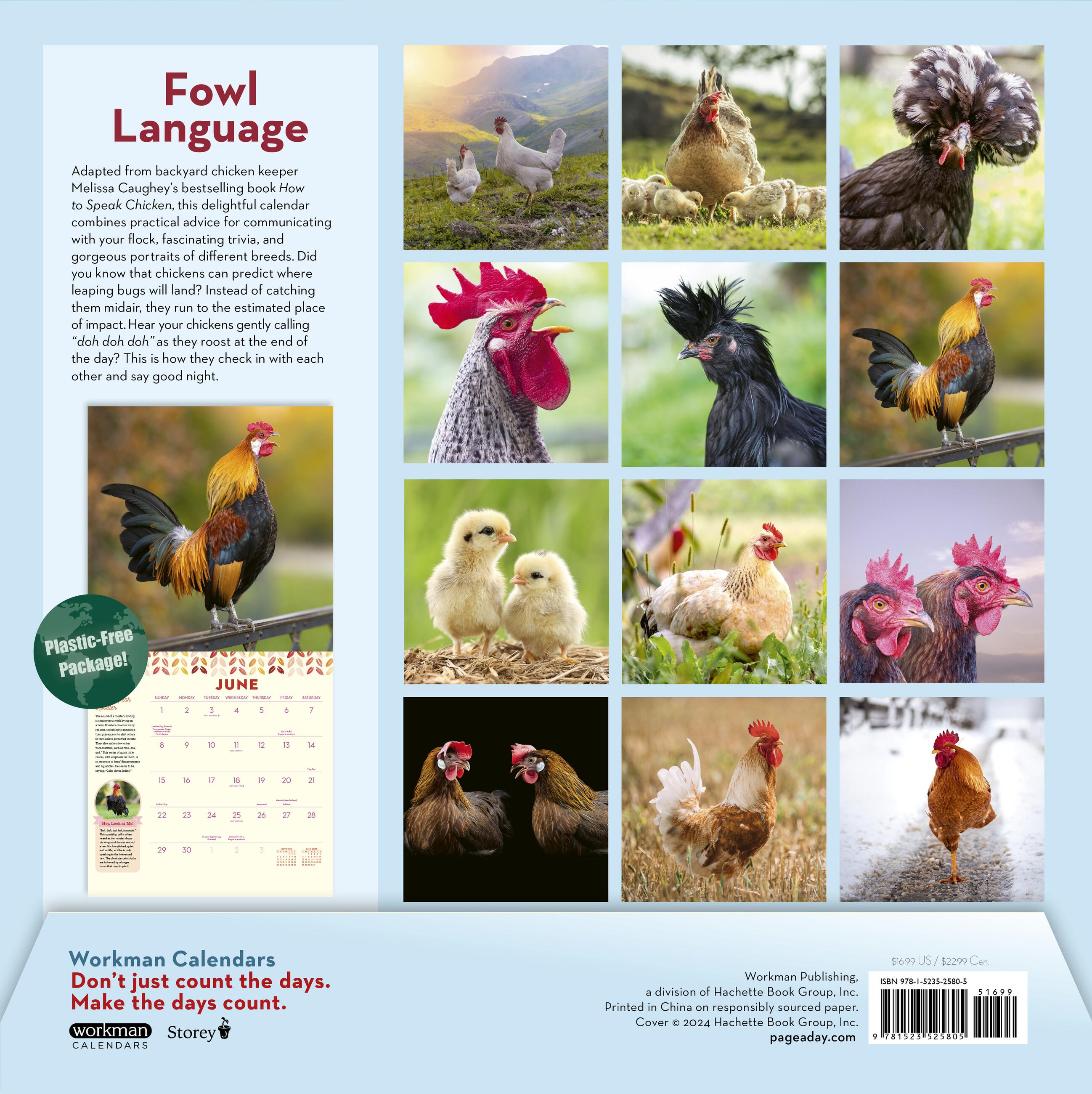 How To Speak Chicken 2025 Wall Calendar    