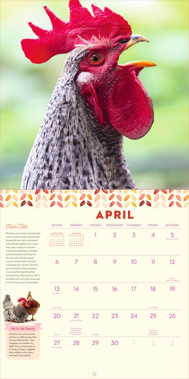 How To Speak Chicken 2025 Wall Calendar    