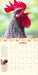 How To Speak Chicken 2025 Wall Calendar    