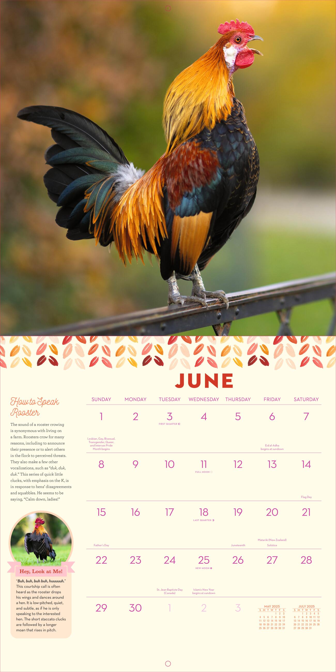 How To Speak Chicken 2025 Wall Calendar    