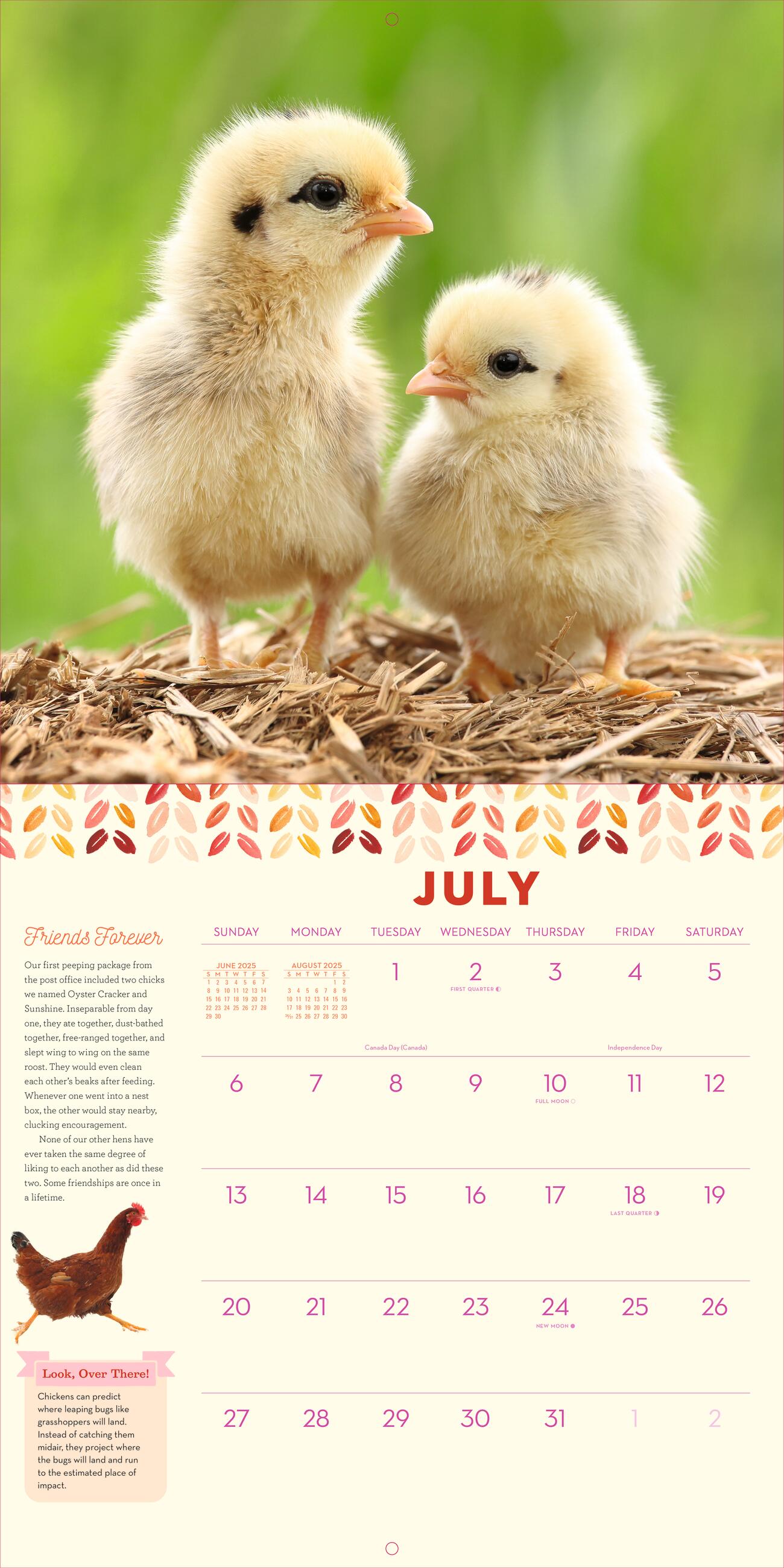 How To Speak Chicken 2025 Wall Calendar    