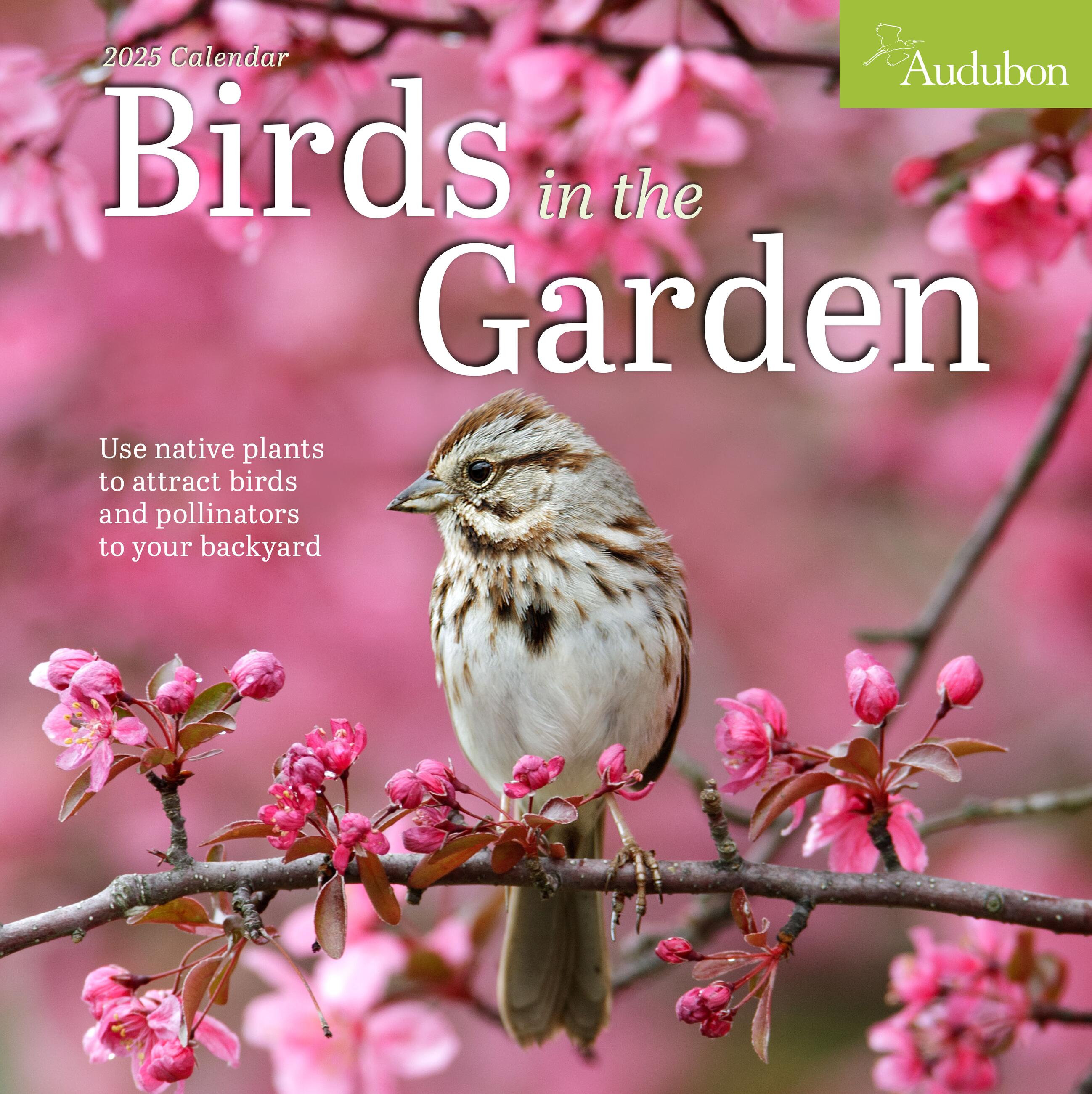 Audubon Birds In The Garden 2025 Wall Calendar    