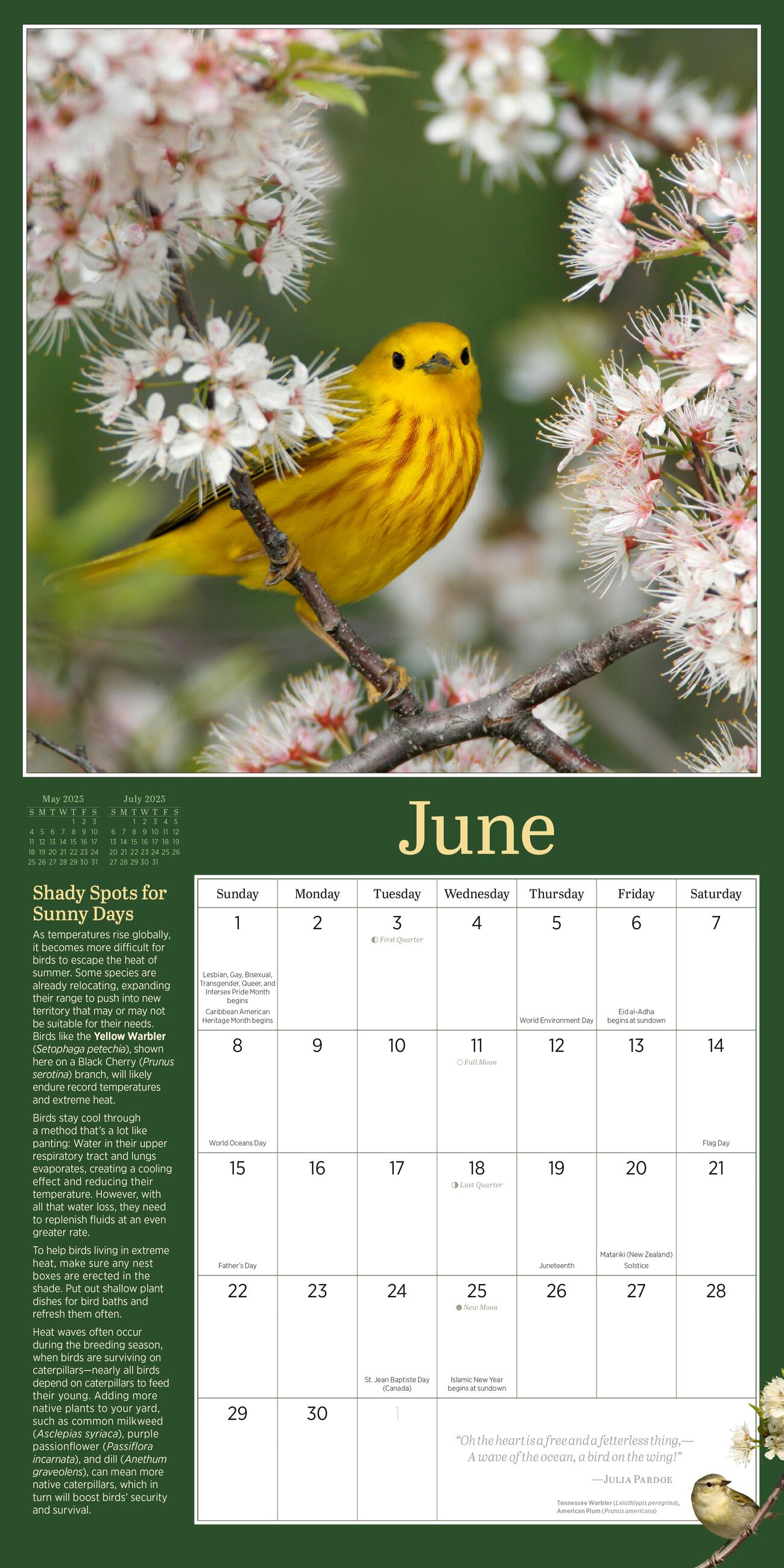 Audubon Birds In The Garden 2025 Wall Calendar    