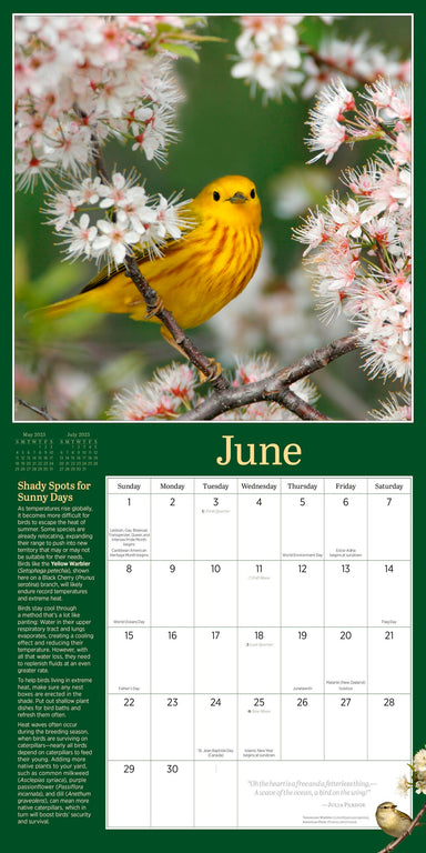 Audubon Birds In The Garden 2025 Wall Calendar    