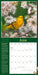 Audubon Birds In The Garden 2025 Wall Calendar    