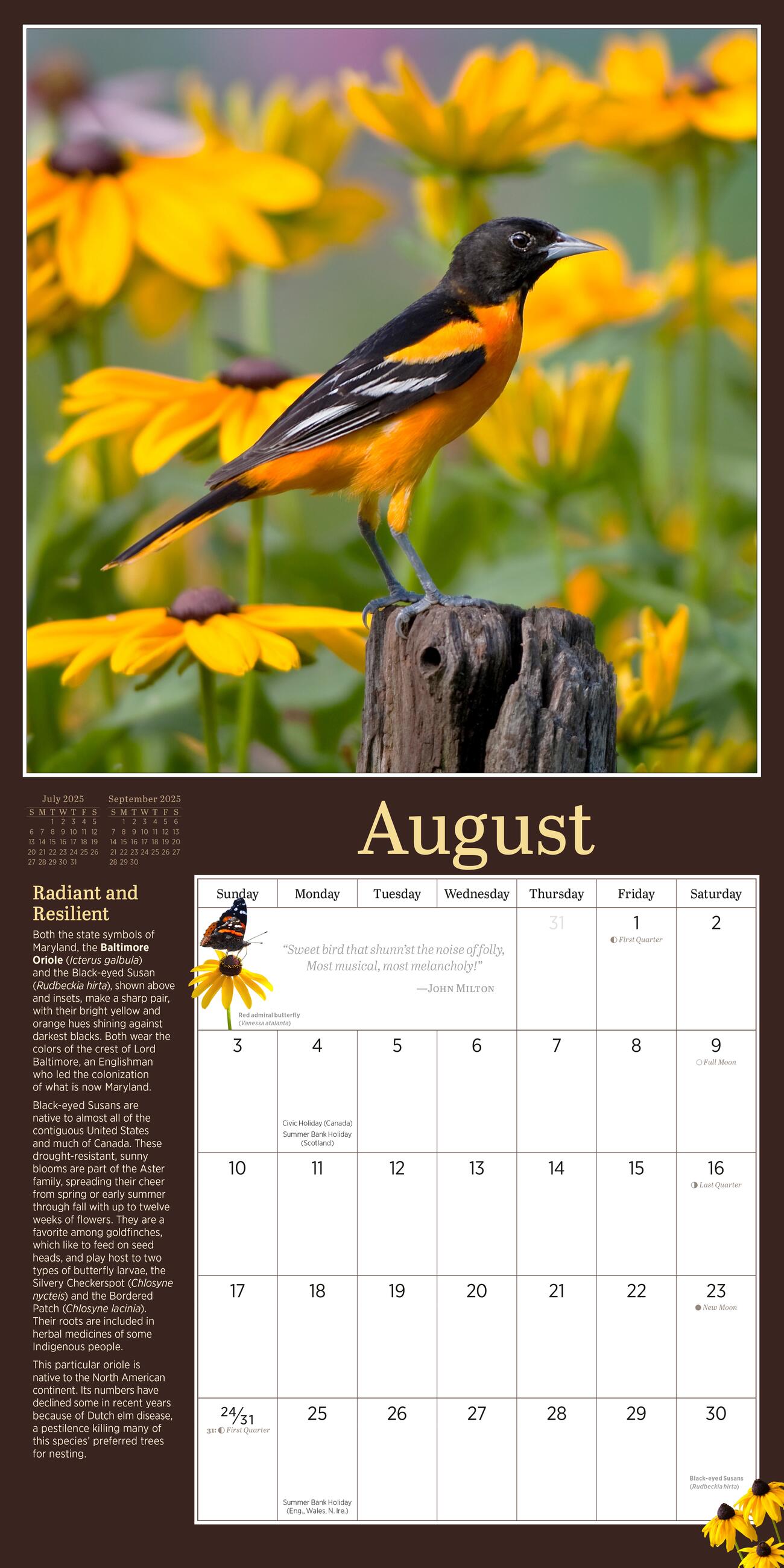 Audubon Birds In The Garden 2025 Wall Calendar    