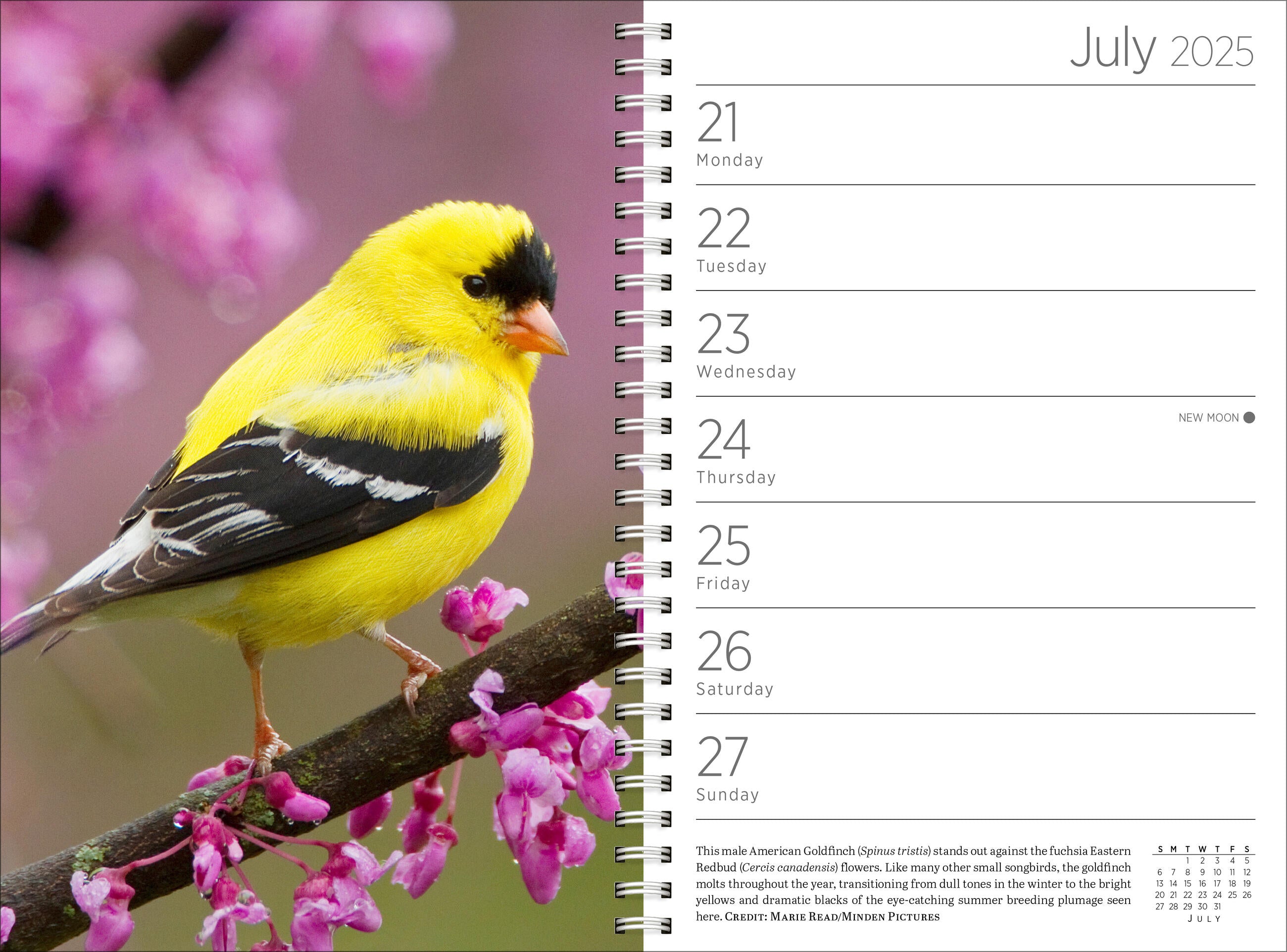 Audubon 2025 Engagement Calendar    