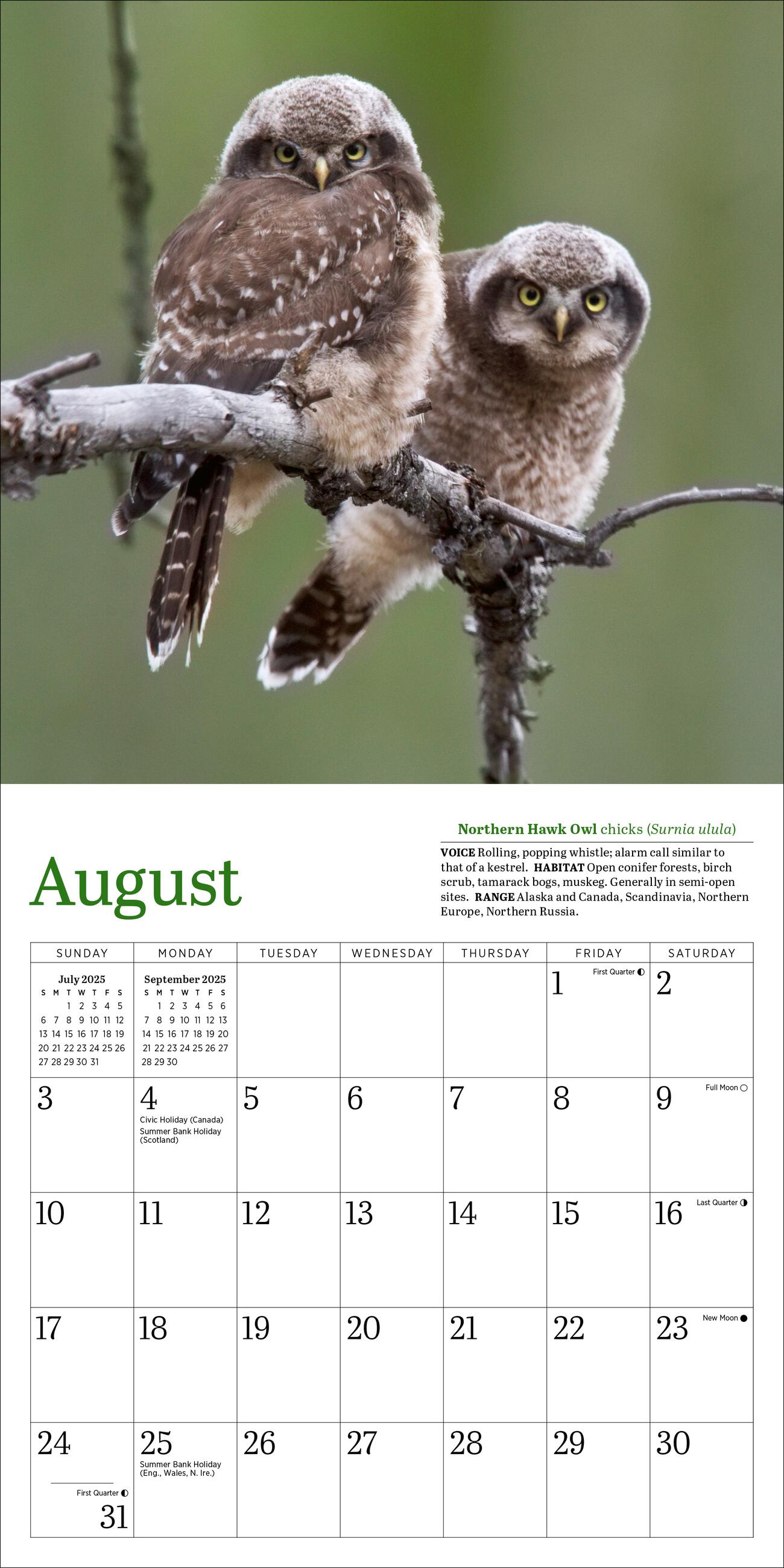 Audubon Little Owls 2025 Mini Wall Calendar    