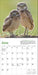 Audubon Little Owls 2025 Mini Wall Calendar    