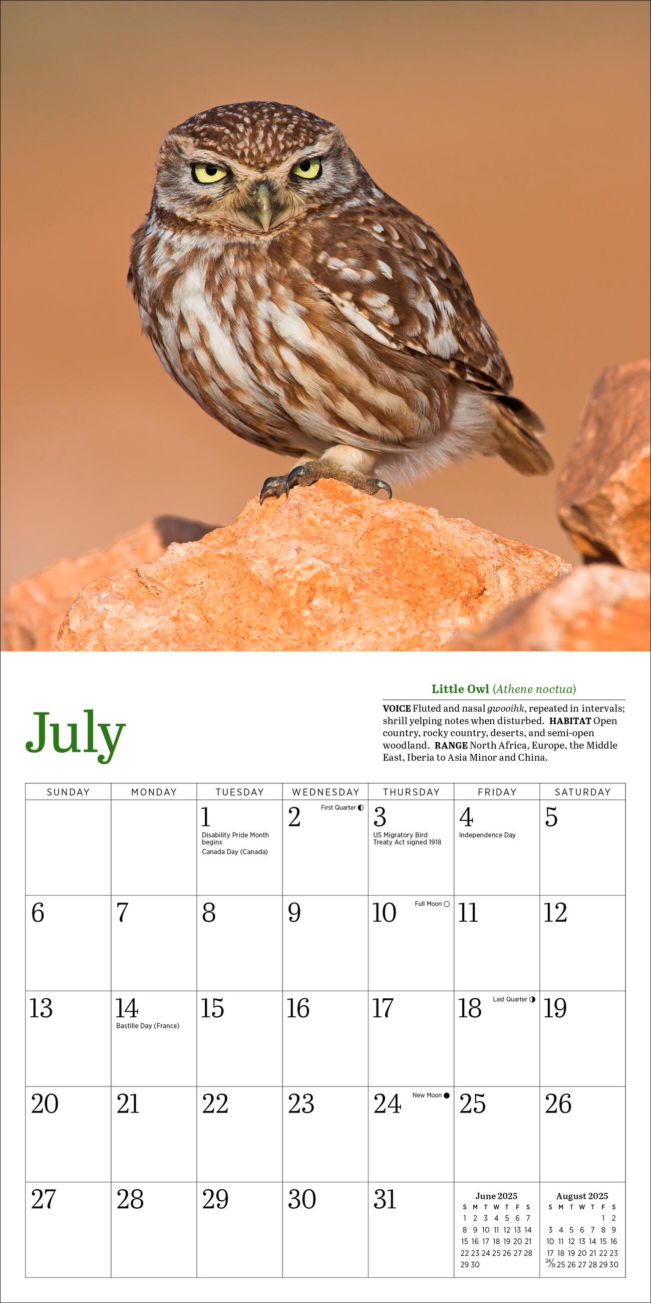 Audubon Little Owls 2025 Mini Wall Calendar    