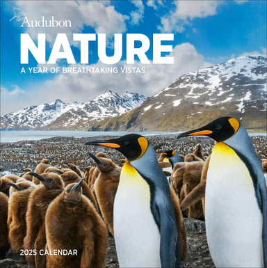 Audubon Nature 2025 Wall Calendar    