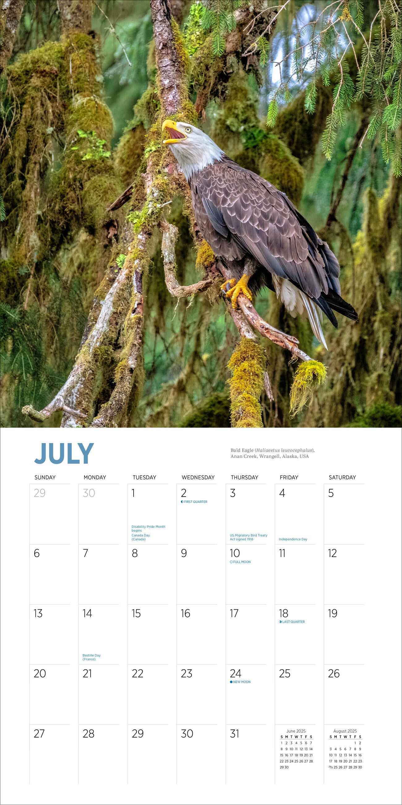 Audubon Nature 2025 Wall Calendar    