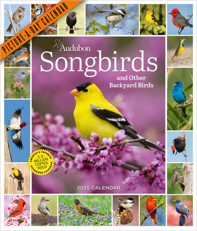 Audubon Songbirds Picture A Day 2025 Wall Calendar    