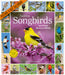 Audubon Songbirds Picture A Day 2025 Wall Calendar    