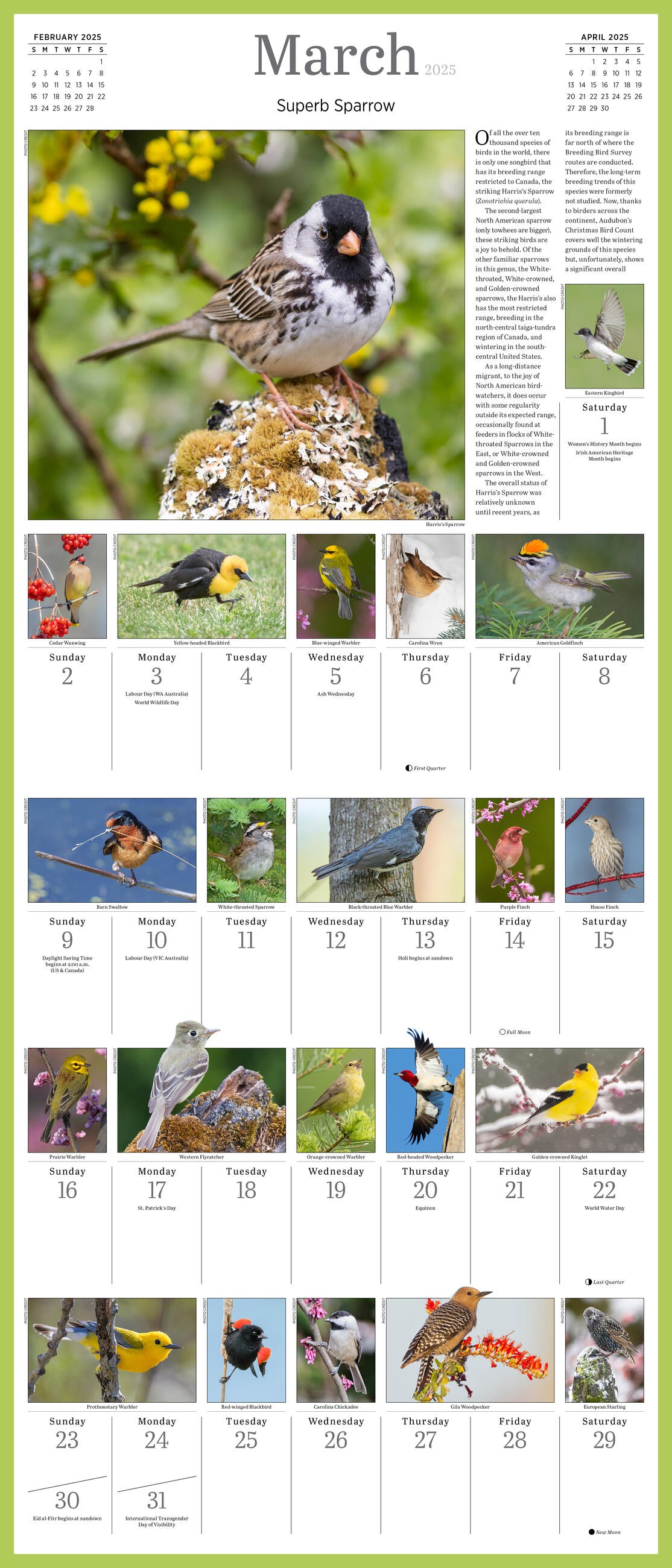 Audubon Songbirds Picture A Day 2025 Wall Calendar    