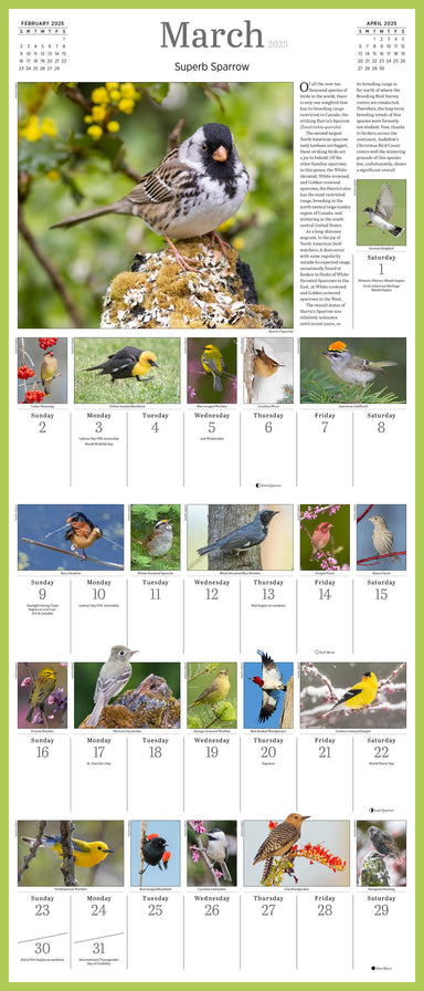 Audubon Songbirds Picture A Day 2025 Wall Calendar    