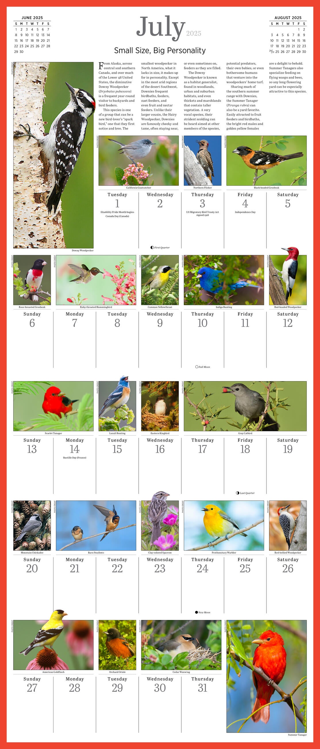 Audubon Songbirds Picture A Day 2025 Wall Calendar    