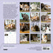 Cats on Catnip 2025 Wall Calendar    