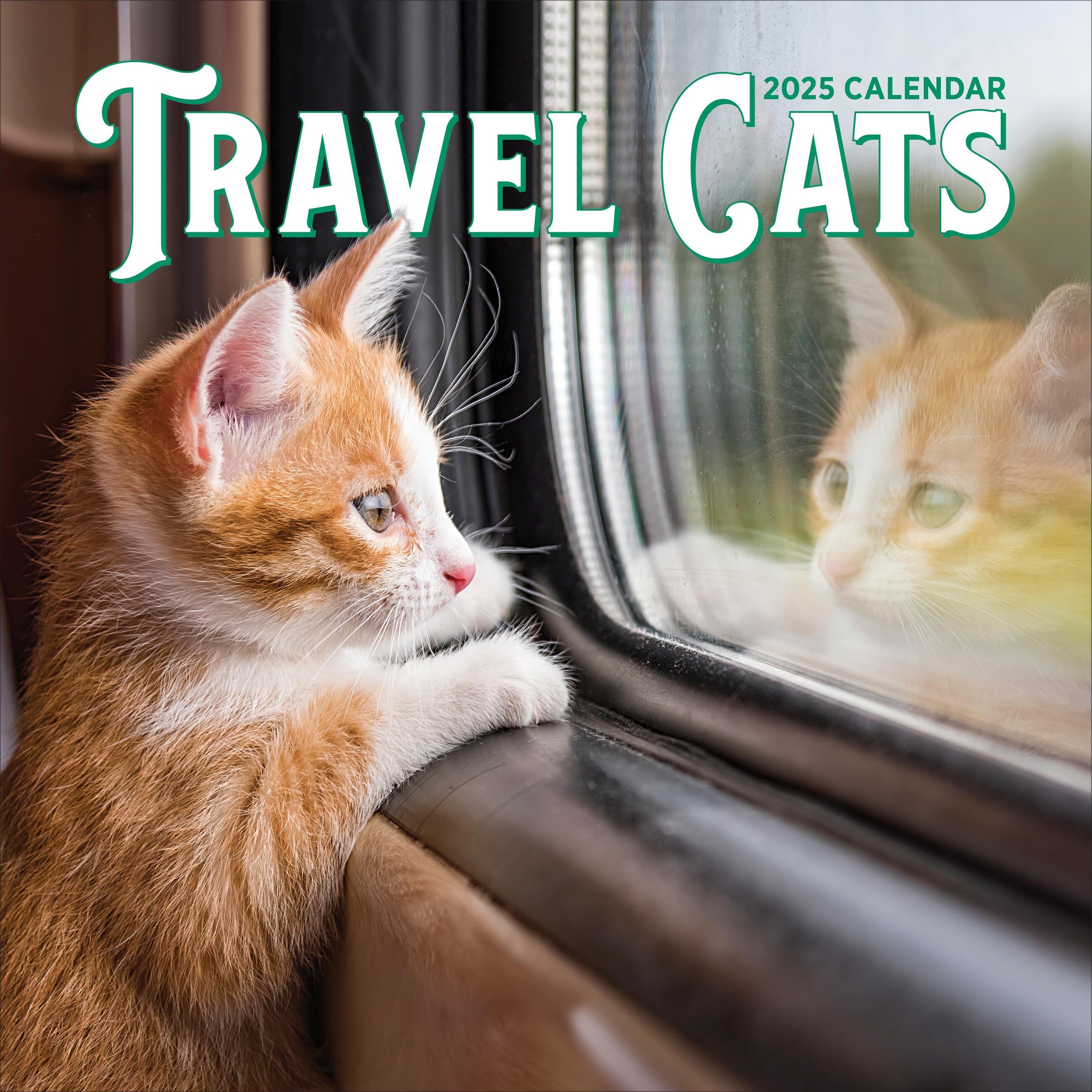 Travel Cats 2025 Wall Calendar    