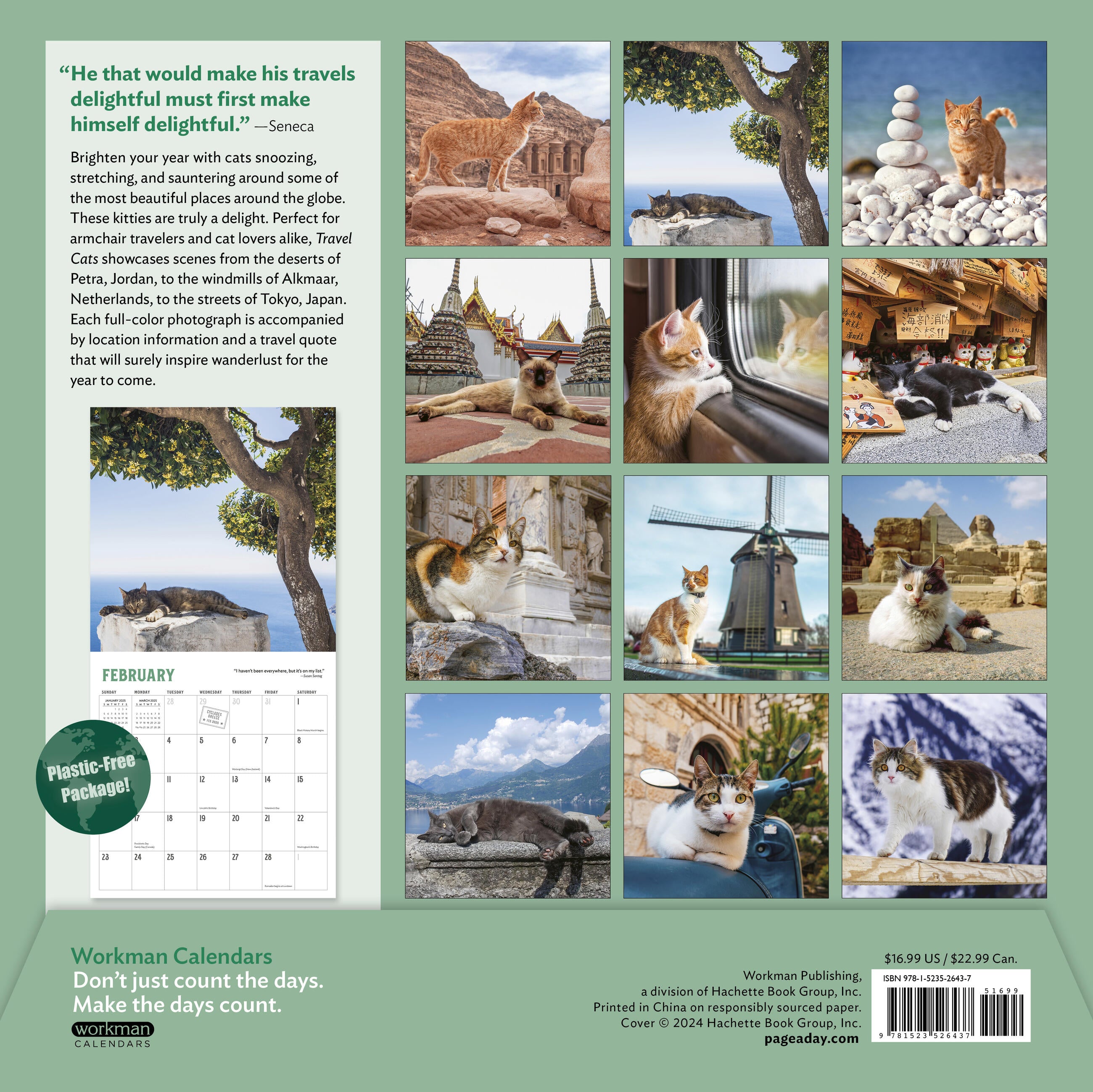 Travel Cats 2025 Wall Calendar    