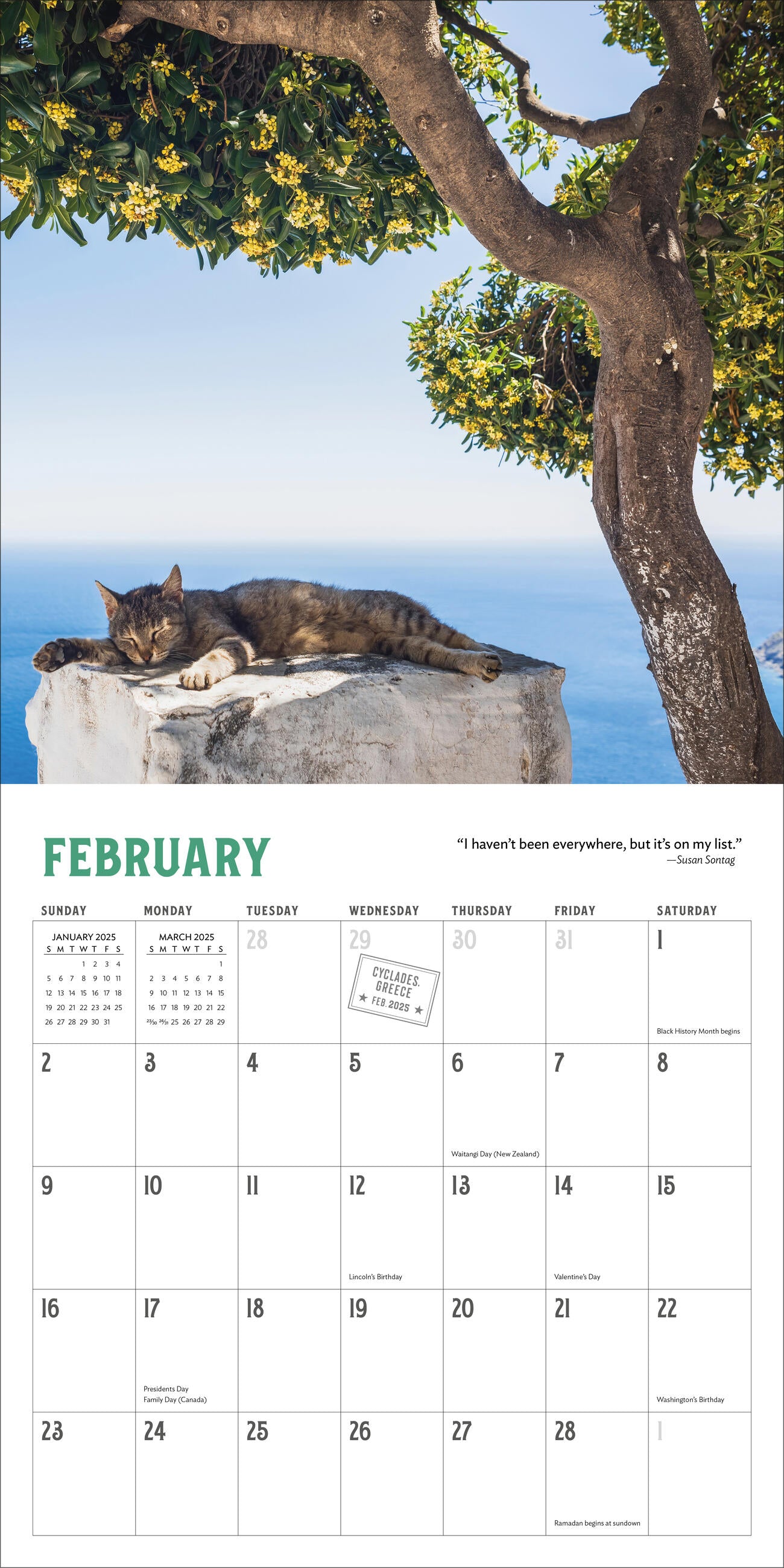 Travel Cats 2025 Wall Calendar    