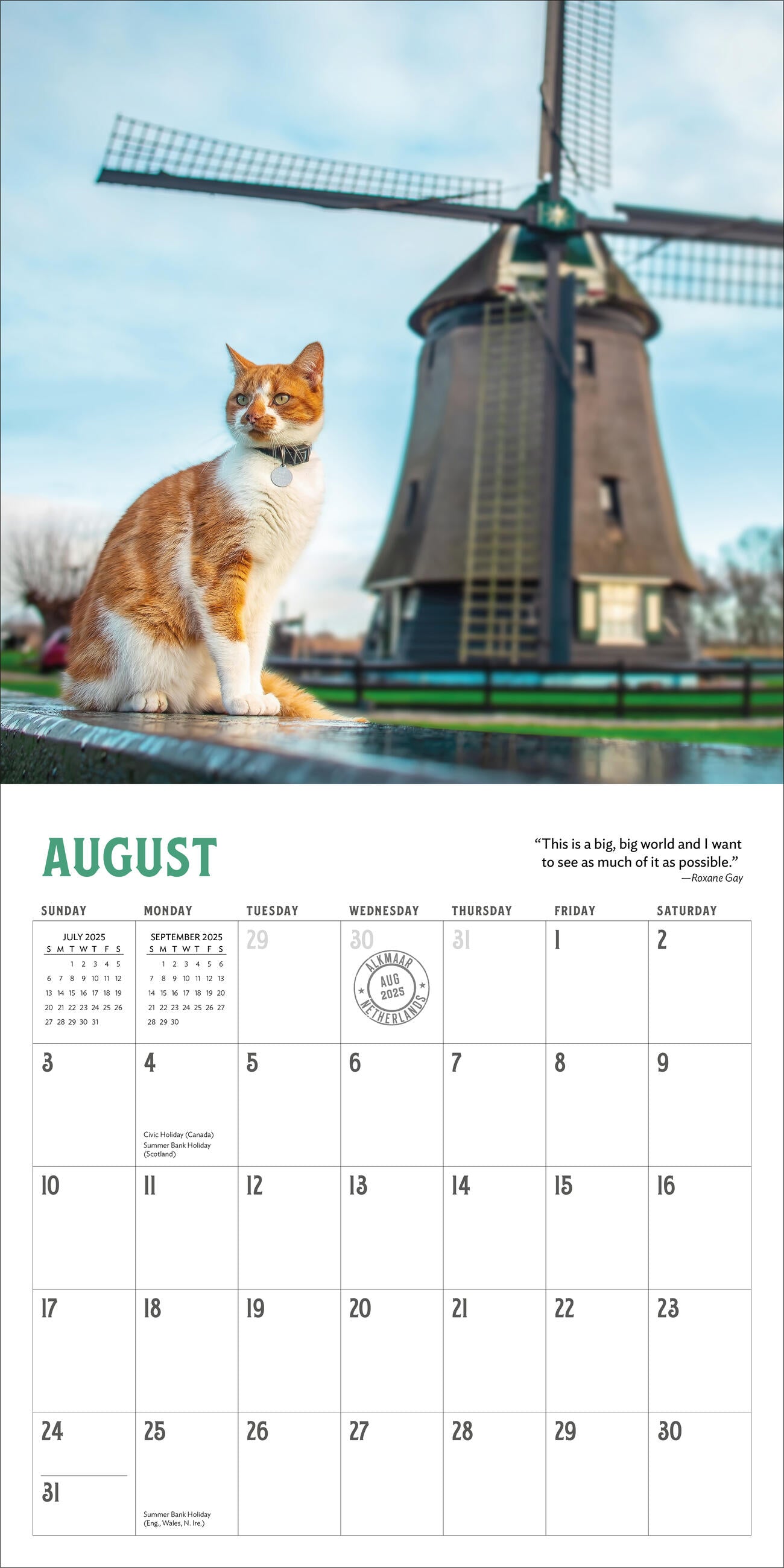 Travel Cats 2025 Wall Calendar    