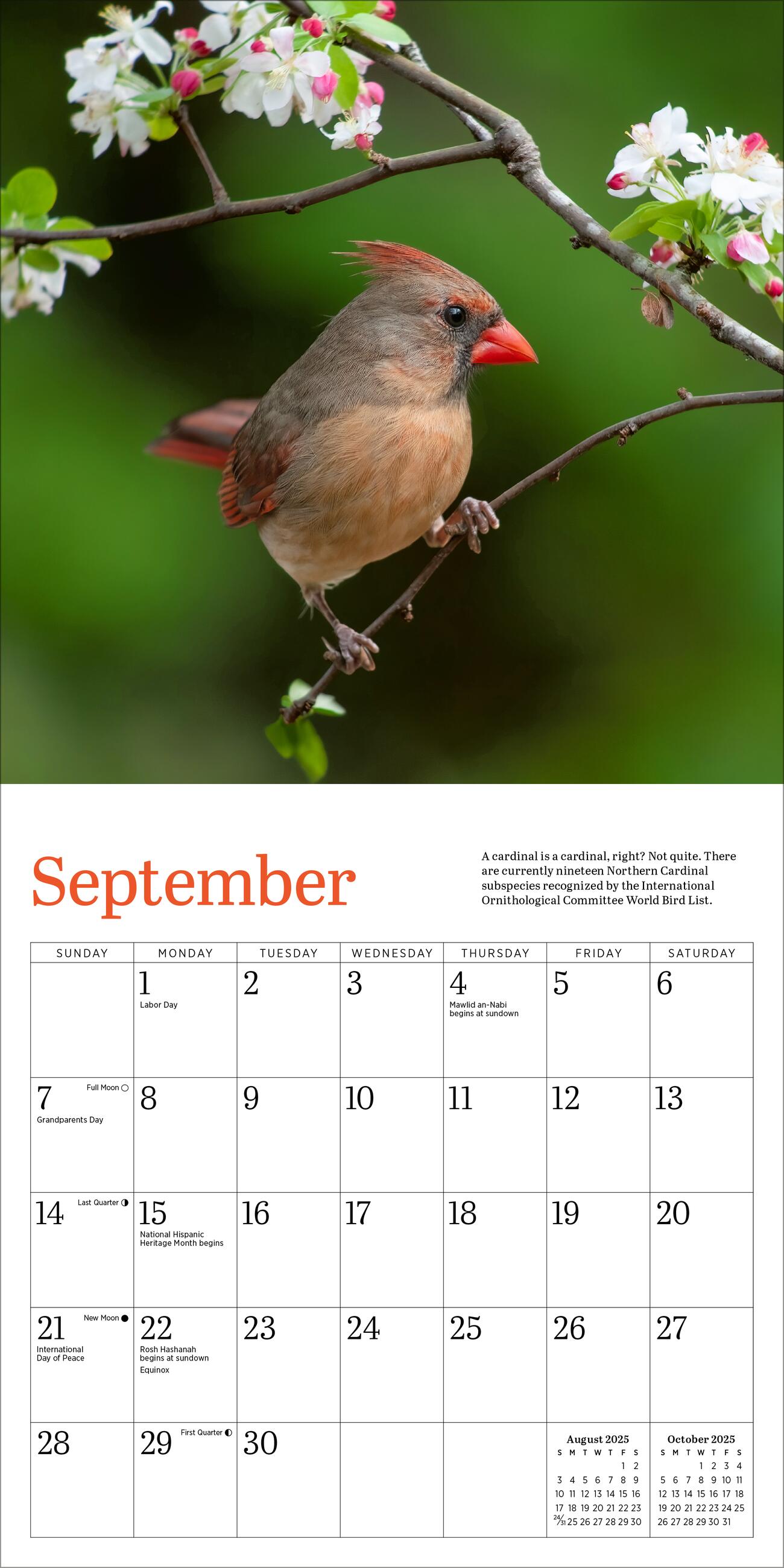 Audubon Cardinals 2025 Mini Wall Calendar    