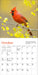 Audubon Cardinals 2025 Mini Wall Calendar    