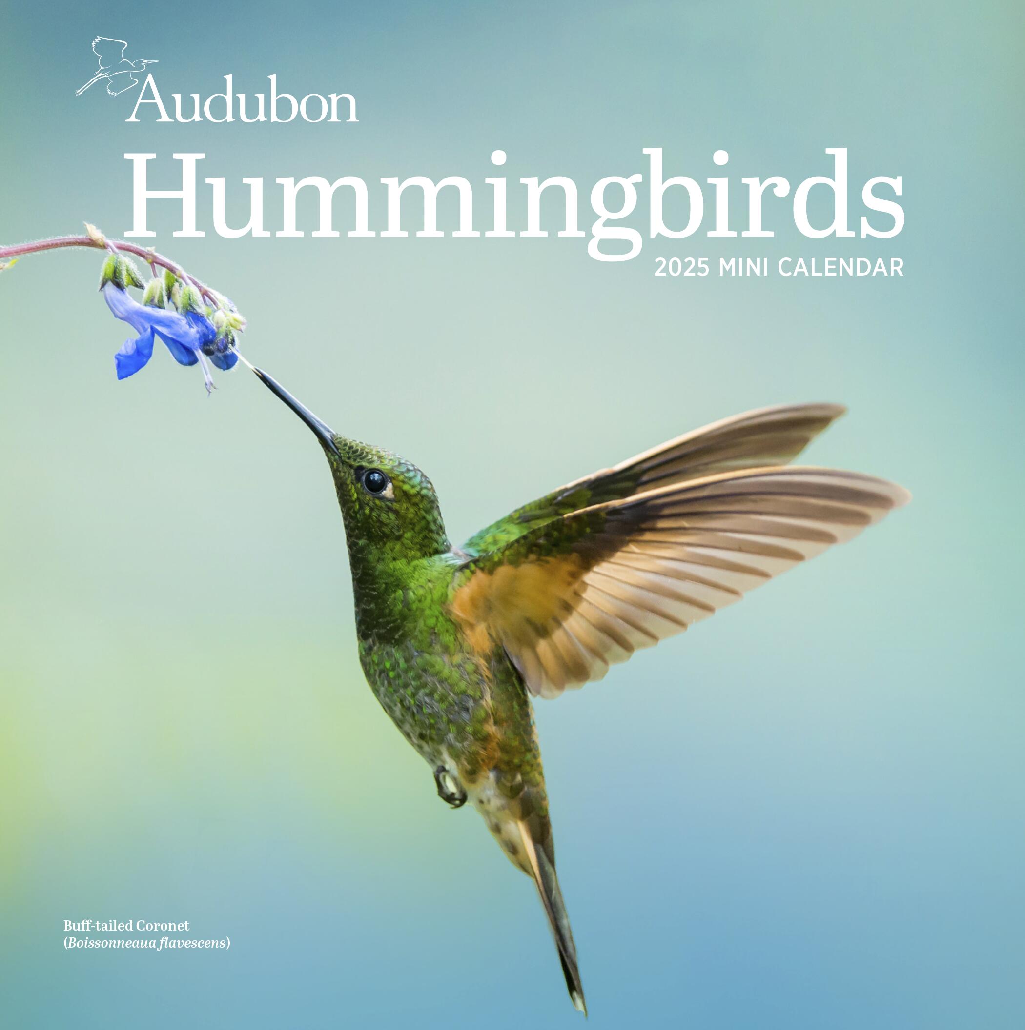 Audubon Hummingbirds 2025 Mini Wall Calendar    