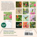 Audubon Hummingbirds 2025 Mini Wall Calendar    